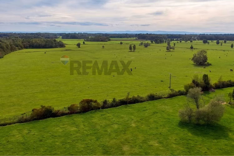 Prime land opportunity | hitschfeld, puerto octay - Imagen 4