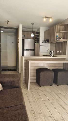 Vive el Confort en acogedor Departamento (176633)