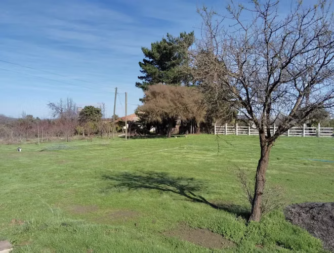 Parcela 5000 m2 con casa 4 dormitorios (Venta o NUDA PROPIEDAD)
