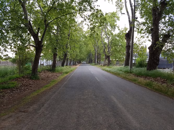 Terreno en Venta 5.000 m² | Camino Miraflores, Codegua