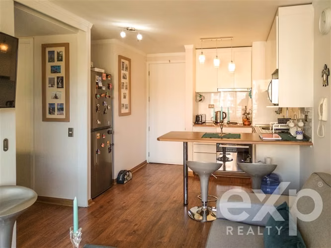 venta departamento Viña 1d-1b, estacionamiento y bodega