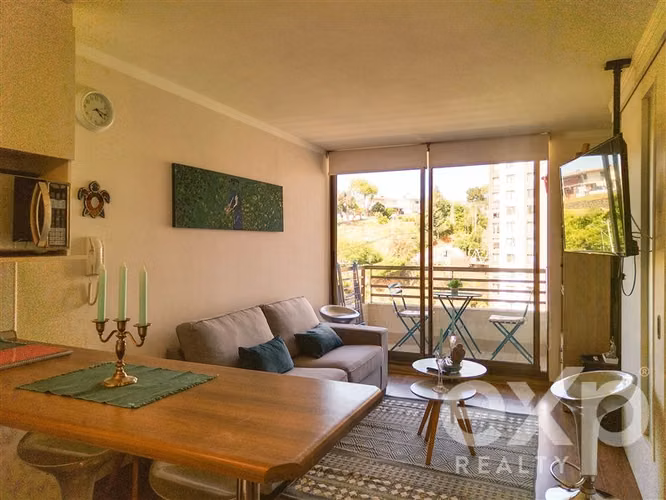 venta departamento Viña 1d-1b, estacionamiento y bodega