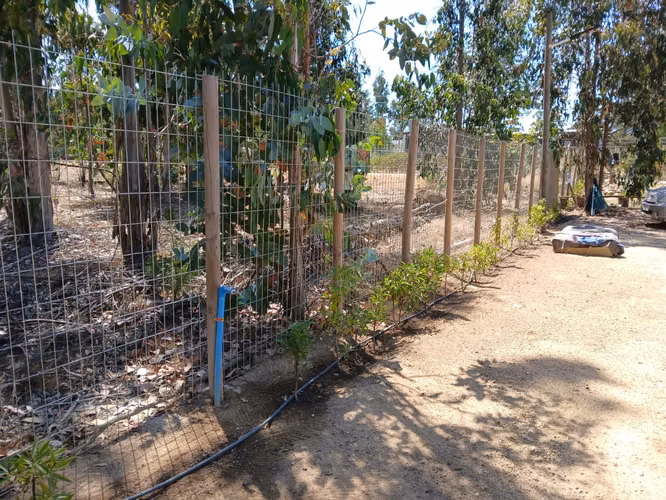 AMR PROPIEDADES VENDE, Casa EN condominio Huallilemu Algarrobo