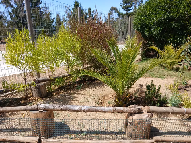 AMR PROPIEDADES VENDE, Casa EN condominio Huallilemu Algarrobo