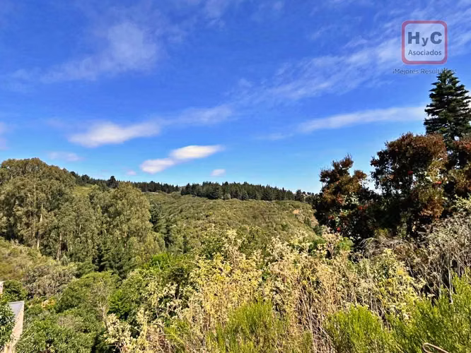Macrolote 20.000 m² Hacienda Reñaca | Eje de Expansión y Plusvalía