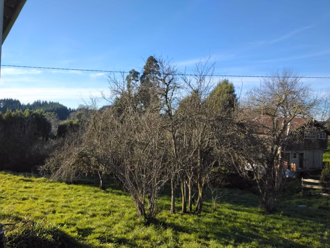 Terreno de 3,9 Há en Osorno para Proyecto Inmobiliario Mixto (Vivienda y Comercio)