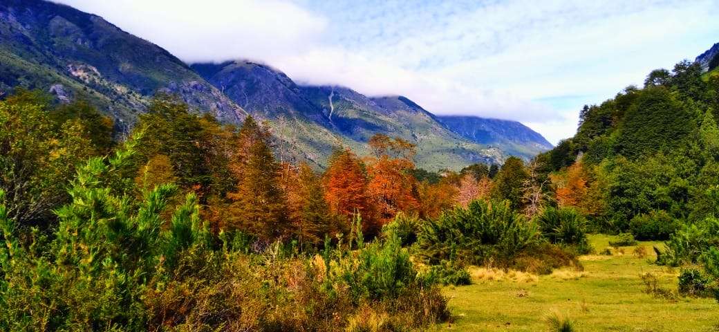 Sitio de 10.000 m2 con bosque nativo en Venta en el Paraíso del Río Puelo, Oportunidad