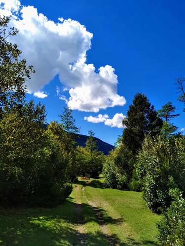 Sitio de 10.000 m2 con bosque nativo en Venta en el Paraíso del Río Puelo, Oportunidad