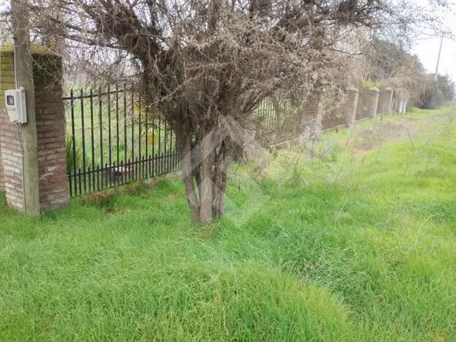 Parcela de 7.500 m2 en venta en Teno, MMV