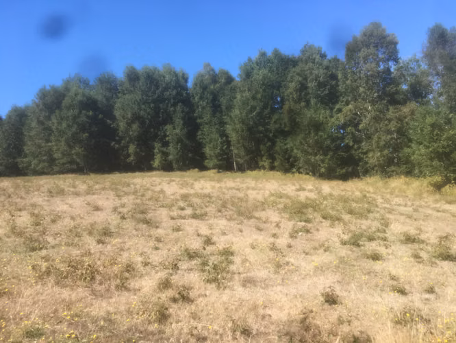 Parcelas 5000 m2