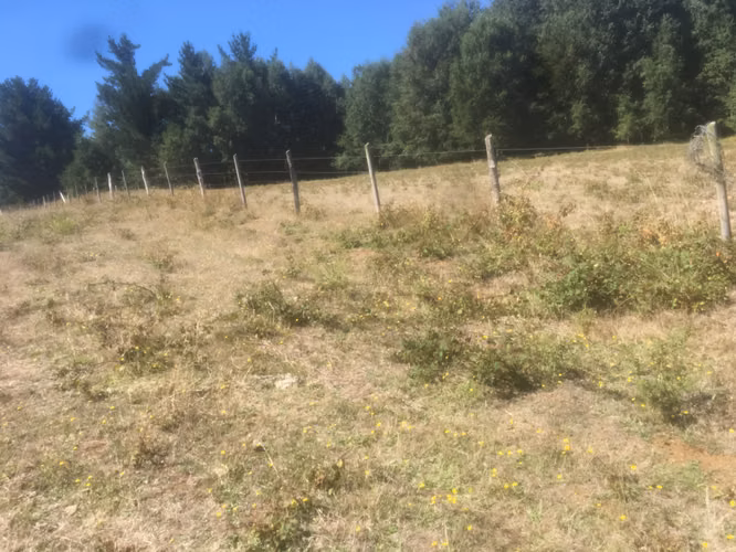 Parcelas 5000 m2