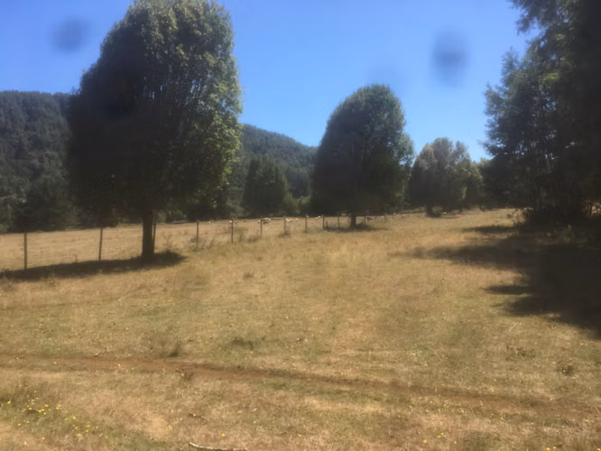 Parcelas 5000 m2