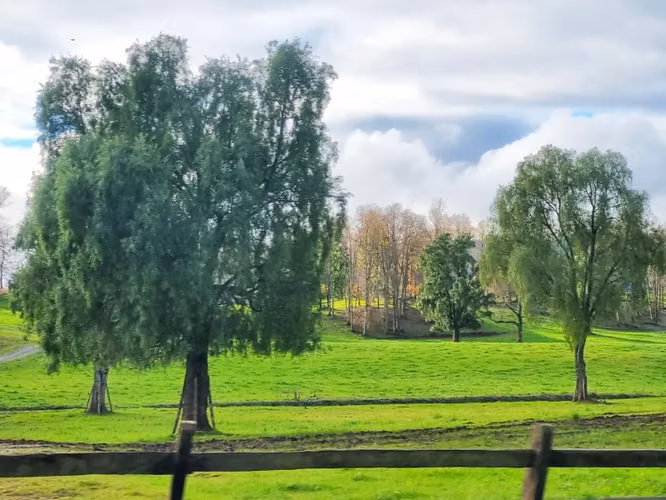 Casa en Venta en Parcela a 20 Minutos de Lago Ranco