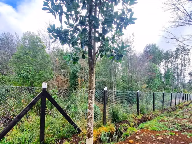 Casa en Venta en Parcela a 20 Minutos de Lago Ranco