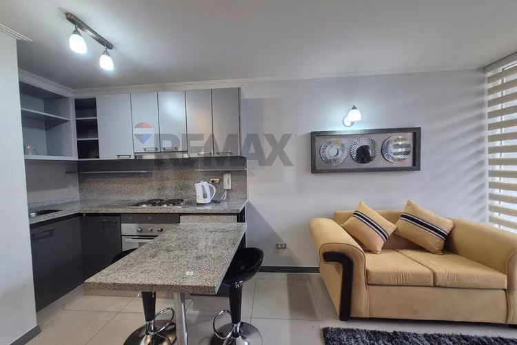 Arriendo departamento amoblado
