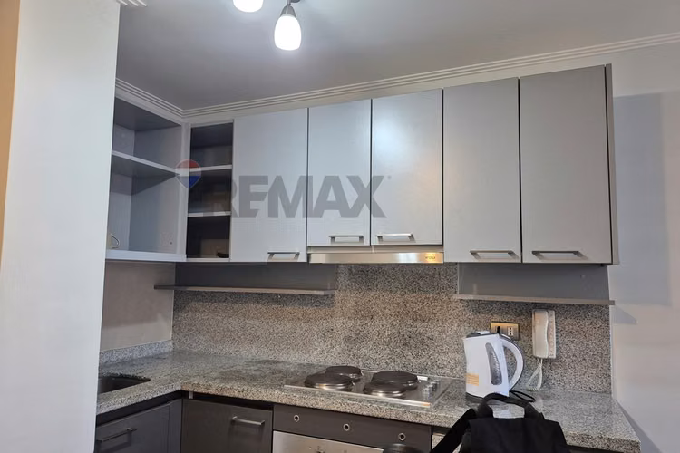 Arriendo departamento amoblado