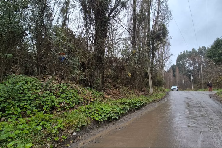 Excelente terreno para uso industrial, castro