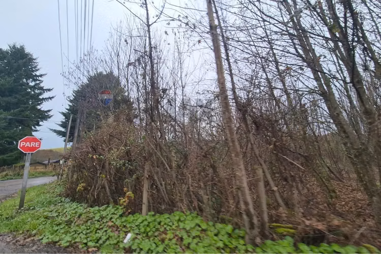 Excelente terreno para uso industrial, castro