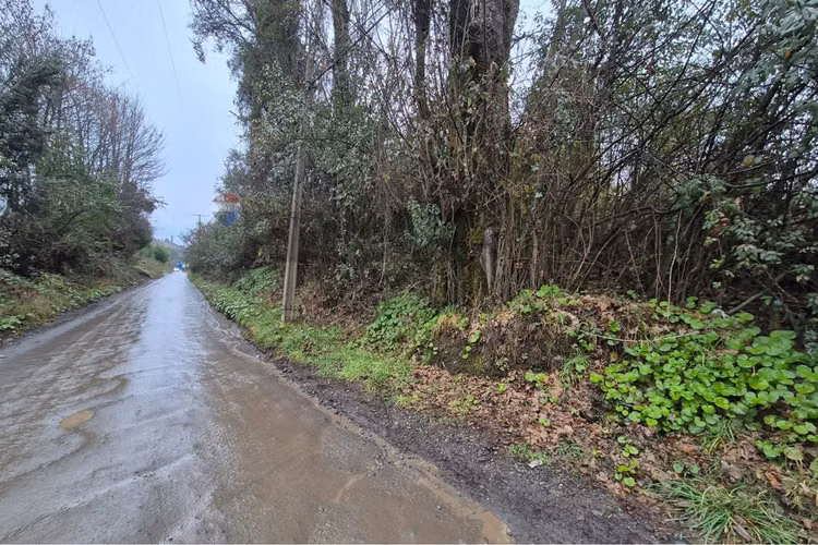 Excelente terreno para uso industrial, castro