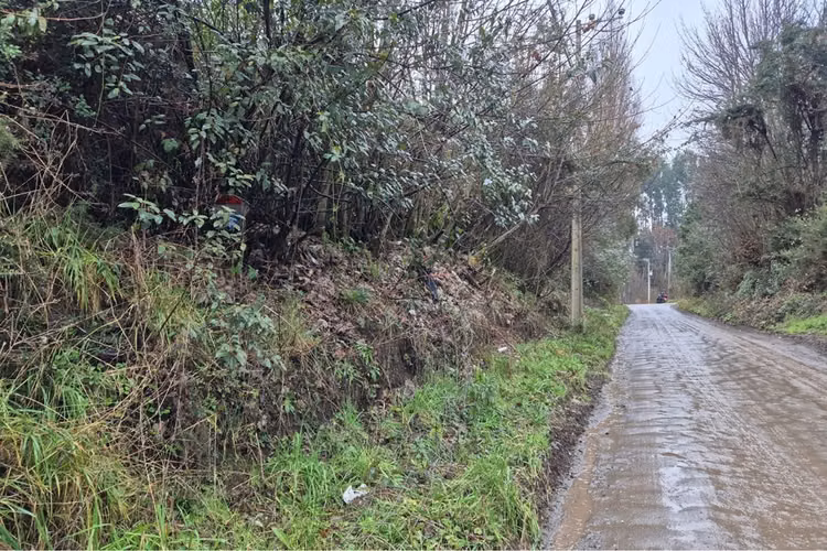 Excelente terreno para uso industrial, castro