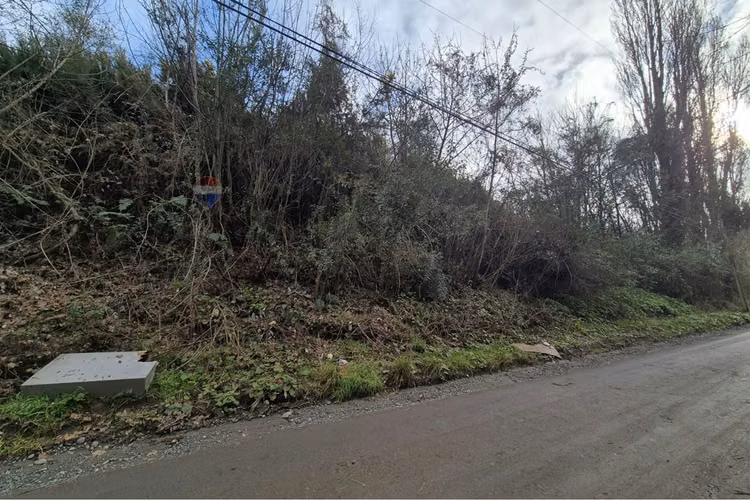Excelente terreno para uso industrial, castro