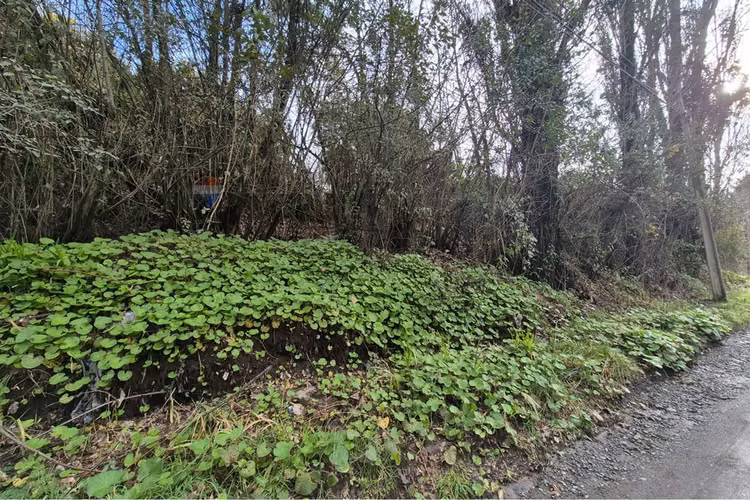 Excelente terreno para uso industrial, castro