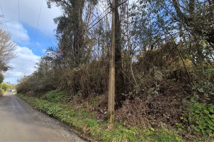 Excelente terreno para uso industrial, castro