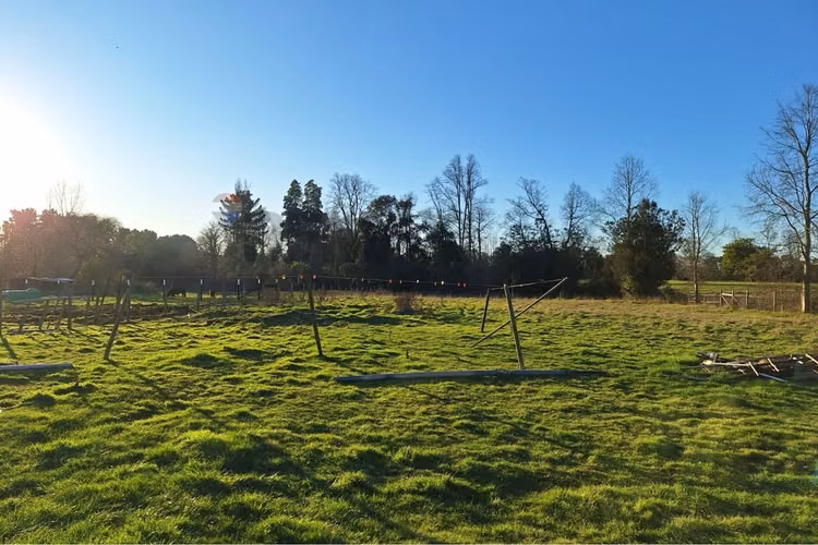 Tu hogar ideal en frutillar