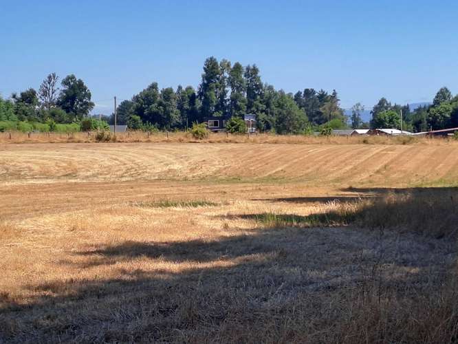 Parcela en venta  a orilla ruta 203CH  (176781)