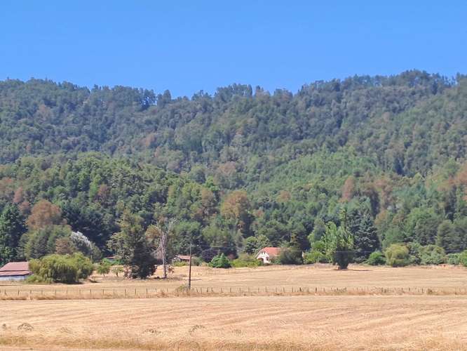 Parcela en venta  a orilla ruta 203CH  (176781) - Imagen 2