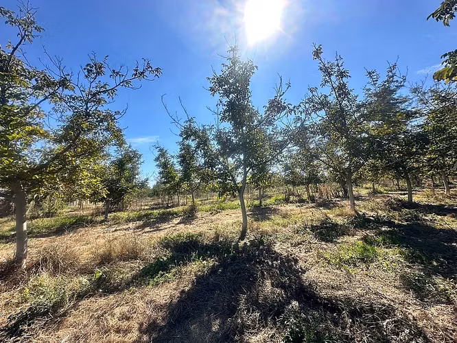 SITIO EN VENTA PAINE