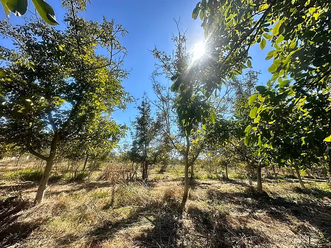 SITIO EN VENTA PAINE