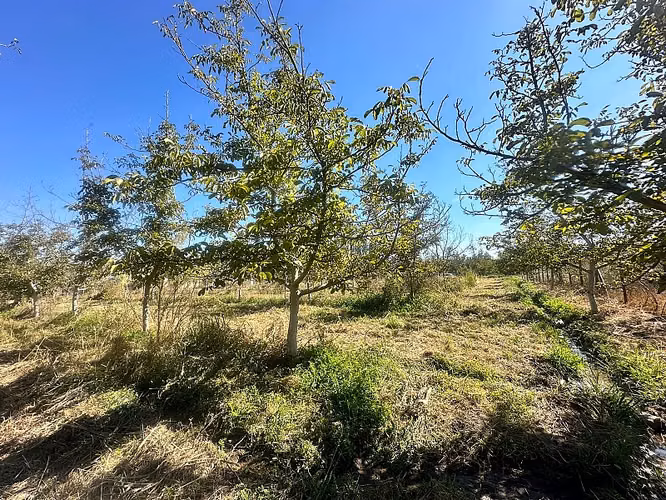 SITIO EN VENTA PAINE
