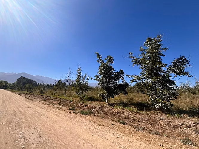 SITIO EN VENTA PAINE