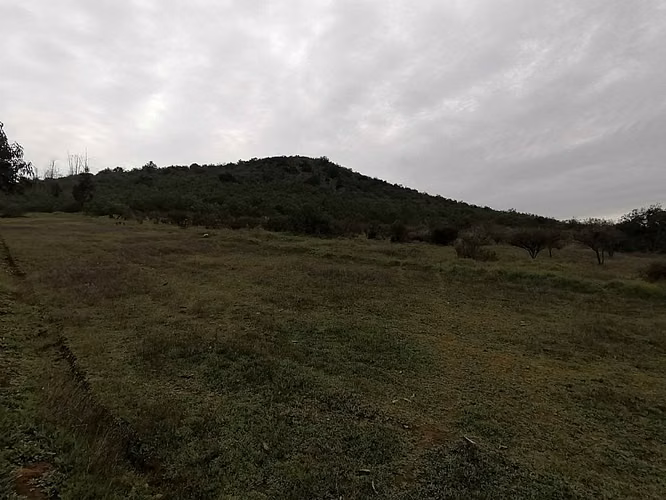 VENDO PARCELAS DE AGRADO LA FORESTA DE ZAPALLAR VREGIÓN - Imagen 23