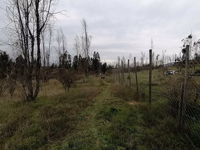 VENDO PARCELAS DE AGRADO LA FORESTA DE ZAPALLAR VREGIÓN - Imagen 26