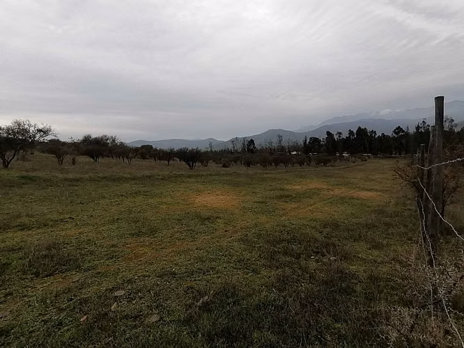 VENDO PARCELAS DE AGRADO LA FORESTA DE ZAPALLAR VREGIÓN