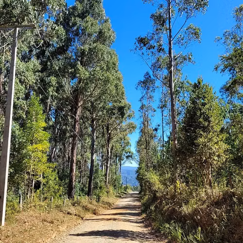 VIVE LA NATURALEZA DE VALDIVIA AL MEJOR PRECIO