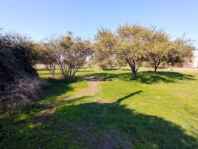 PARCELA URBANIZADA 3.5HA EN MARÍA PINTO