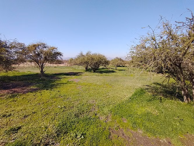 PARCELA URBANIZADA 3.5HA EN MARÍA PINTO