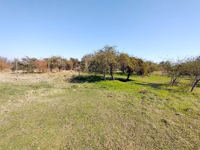 PARCELA URBANIZADA 3.5HA EN MARÍA PINTO