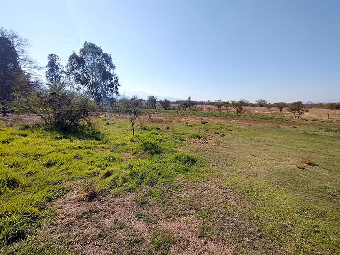 PARCELA URBANIZADA 3.5HA EN MARÍA PINTO