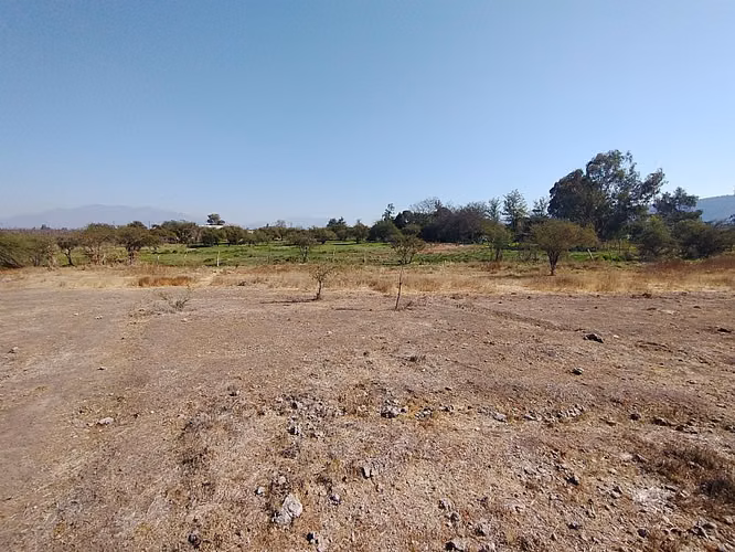 PARCELA URBANIZADA 3.5HA EN MARÍA PINTO
