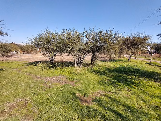 PARCELA URBANIZADA 3.5HA EN MARÍA PINTO