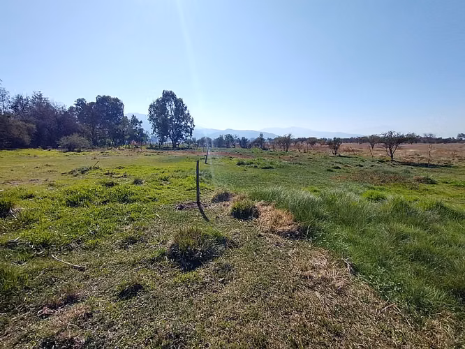 PARCELA URBANIZADA 3.5HA EN MARÍA PINTO