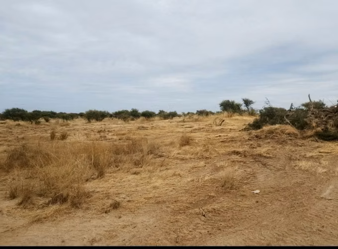 VENDO PARCELA 5.000 MTS2 EN REGIÓN MAULE - COMUNA EL RETIRO