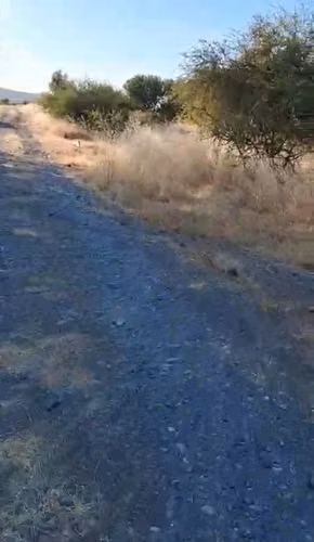 VENDO PARCELA 5.000 MTS2 EN REGIÓN MAULE - COMUNA EL RETIRO