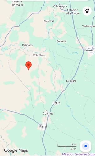 VENDO PARCELA 5.000 MTS2 EN REGIÓN MAULE - COMUNA EL RETIRO