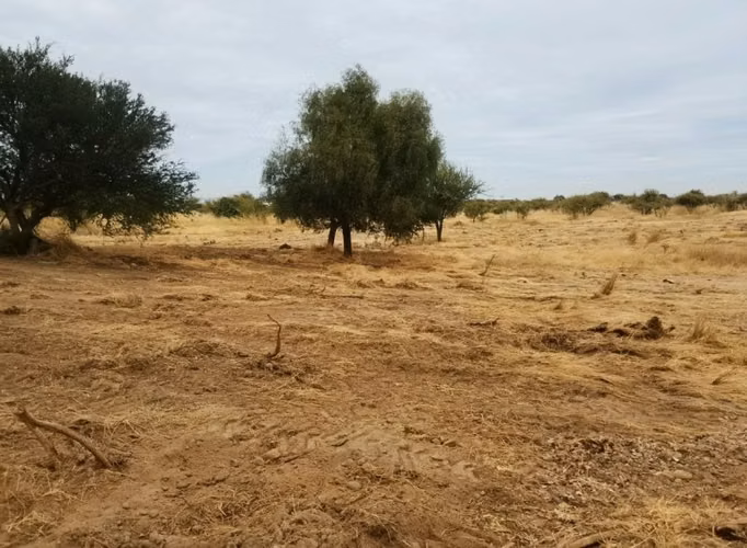 VENDO PARCELA 5.000 MTS2 EN REGIÓN MAULE - COMUNA EL RETIRO