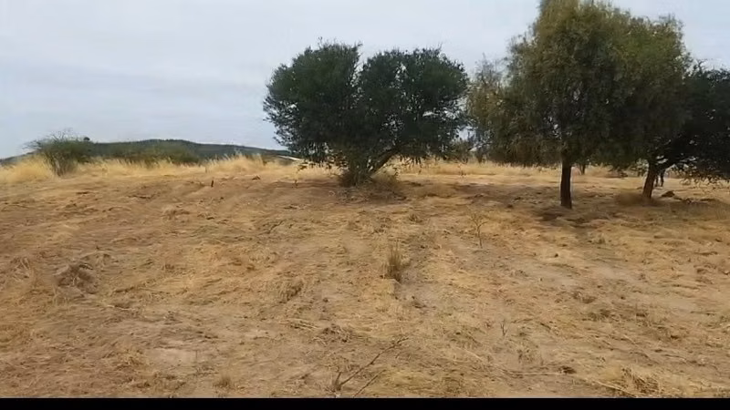 VENDO PARCELA 5.000 MTS2 EN REGIÓN MAULE - COMUNA EL RETIRO